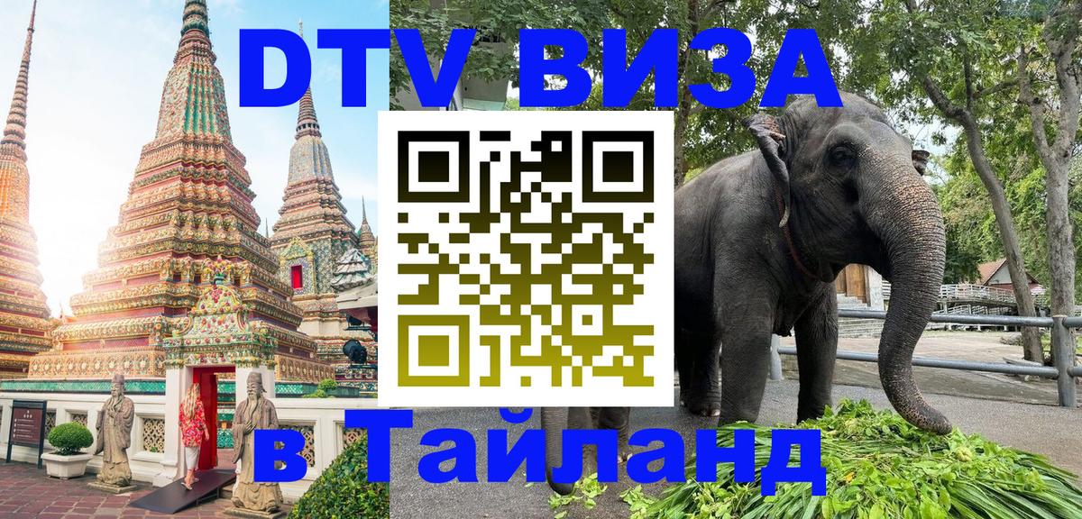 Стоимость и условия DTV визы — оформление в Таиланд под ключ - Бийск 